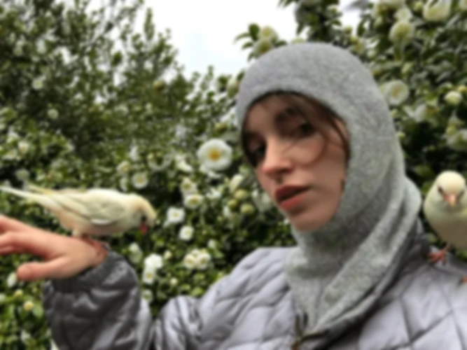 Upscale comparison (blur)